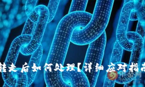 TPWallet被转走后如何处理？详细应对指南与防护措施