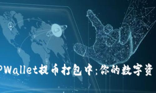 深入解析TPWallet提币打包中：你的数字资产安全攻略