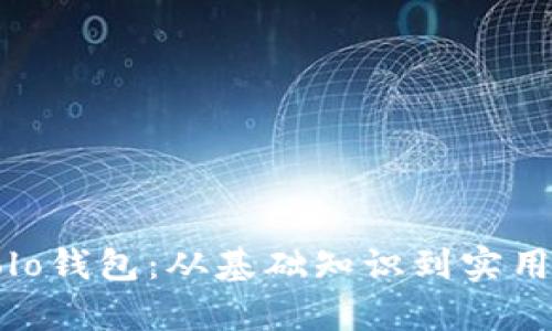 如何成功开启Solo钱包：从基础知识到实用技巧的全面指南