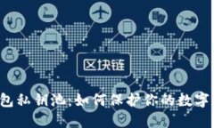 比特币钱包私钥池：如何保护你的数字资产安全